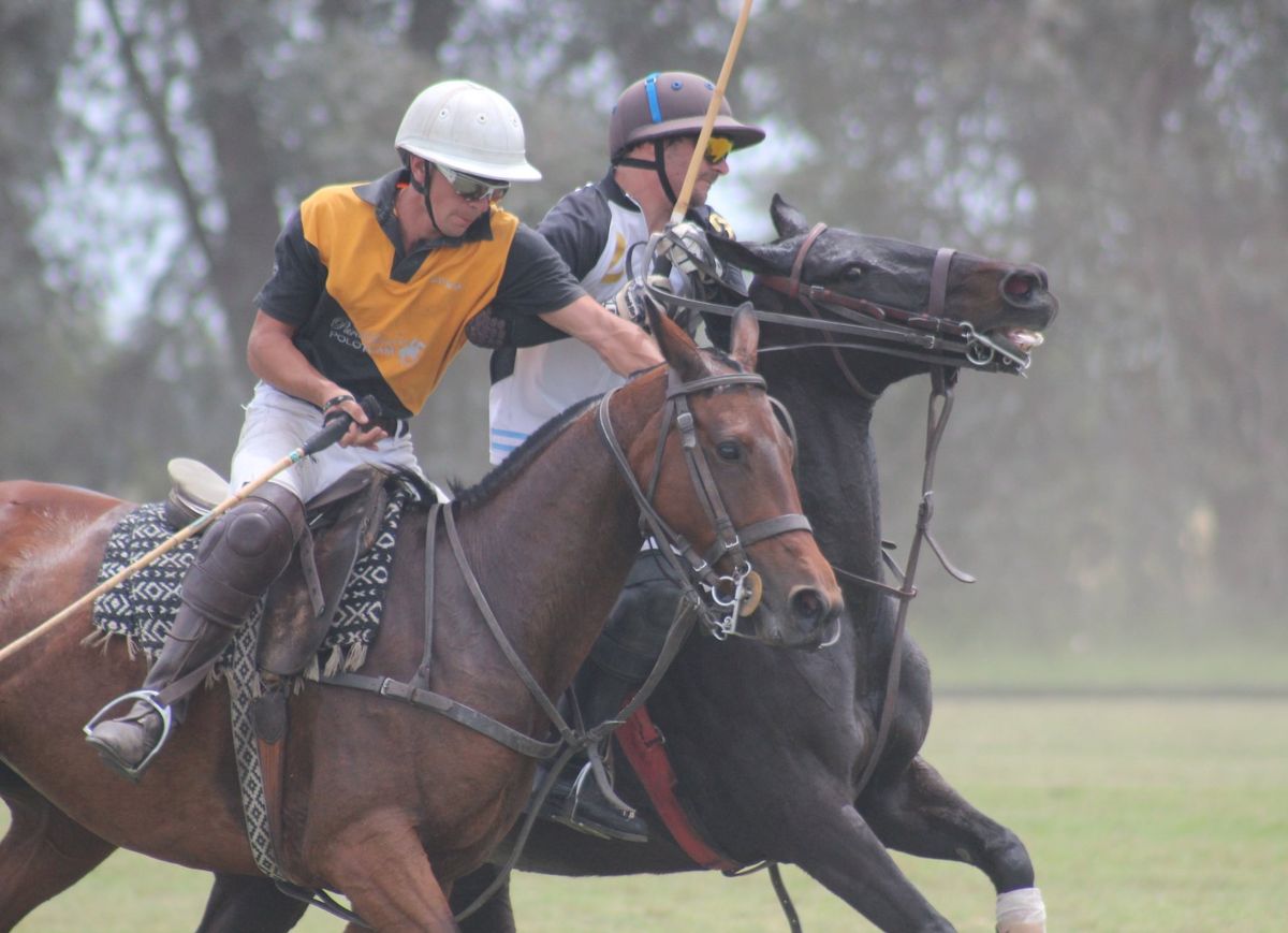 Polo de competición en El Cardo