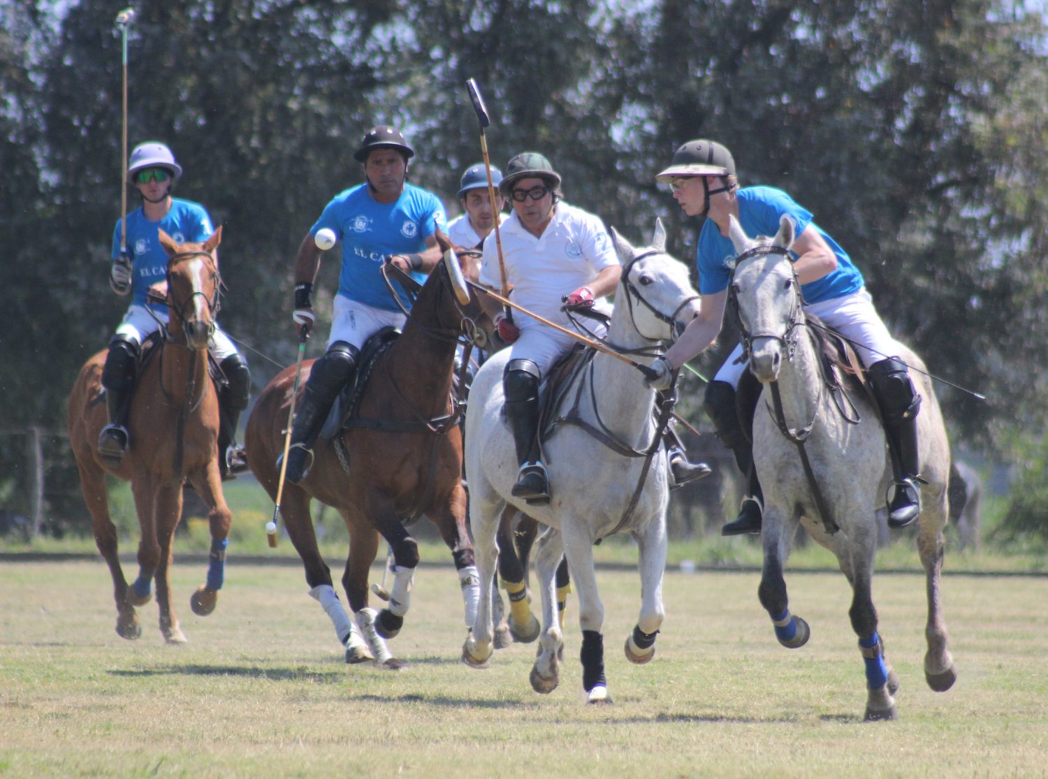 Partido de polo en El Cardo Polo Club